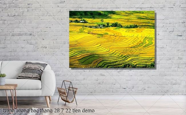 tranh ruong bac thang 28 7 22 tien